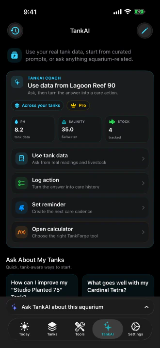 TankForge TankAI: tank-aware care guidance and tools